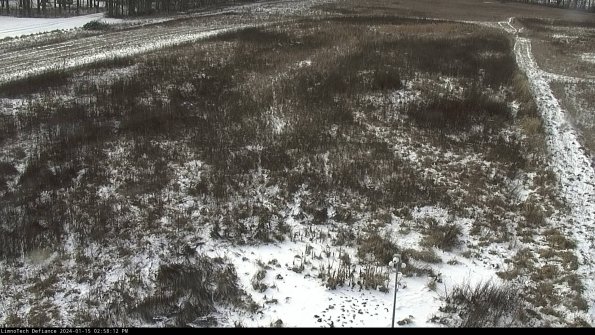 Cell 1_24-01-15_14-58-12-93