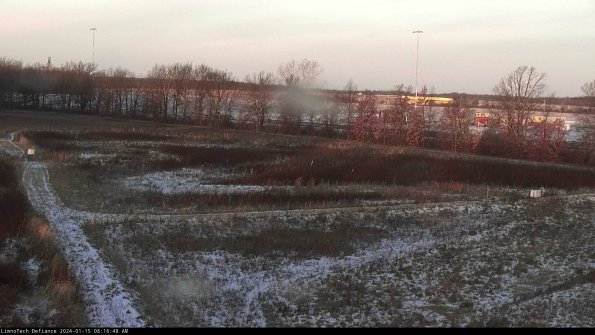 Cell 2_24-01-15_08-16-49-00