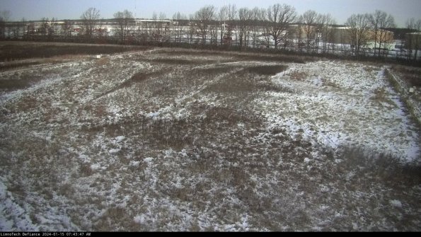 Cell 3_24-01-15_07-43-47-92