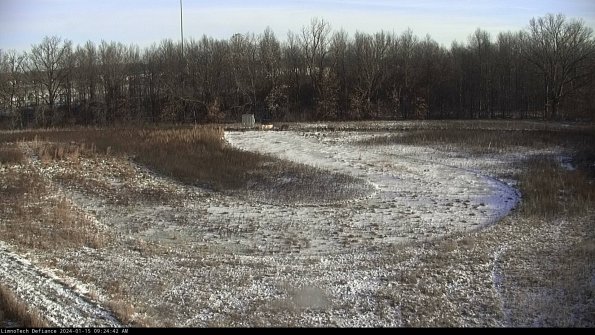 Cell 4_24-01-15_09-24-42-93