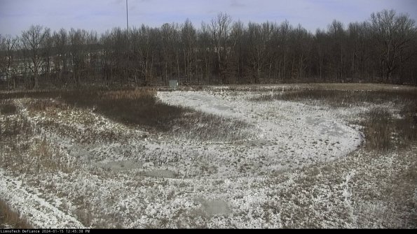 Cell 4_24-01-15_12-45-38-94