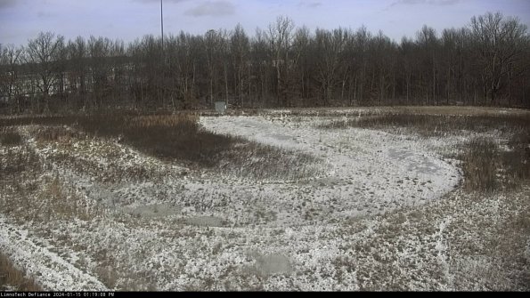 Cell 4_24-01-15_13-19-08-92