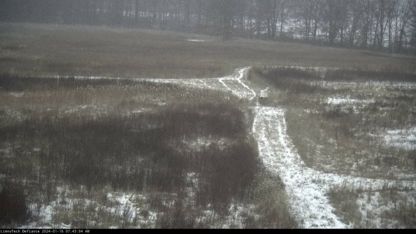 Cell 1 to 2_24-01-16_07-43-04-92