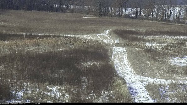 Cell 1 to 2_24-01-16_12-11-00-90