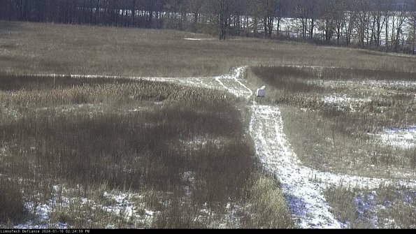 Cell 1 to 2_24-01-16_14-24-59-95