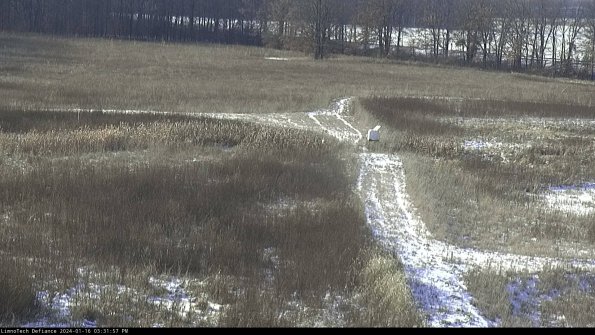 Cell 1 to 2_24-01-16_15-31-57-91