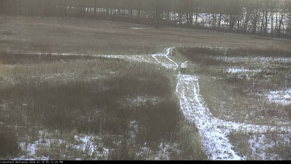 Cell 1 to 2_24-01-16_17-12-25-91