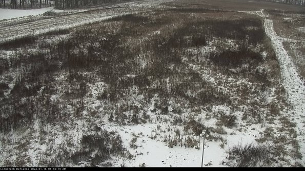 Cell 1_24-01-16_08-16-19-94