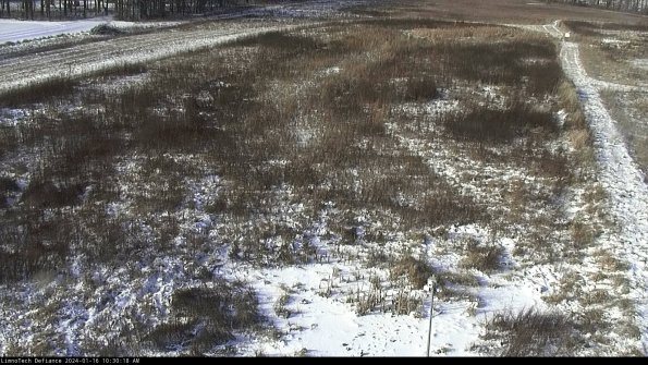 Cell 1_24-01-16_10-30-18-95