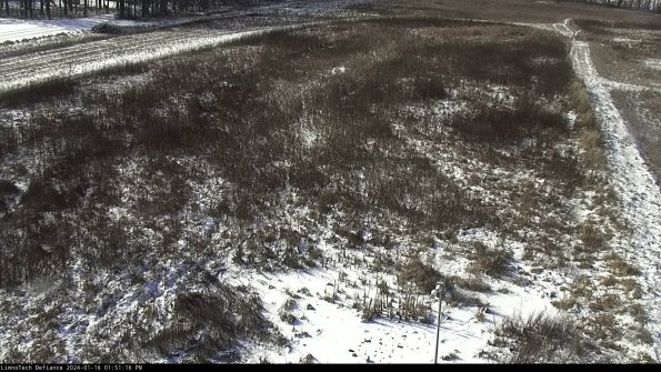 Cell 1_24-01-16_13-51-16-93