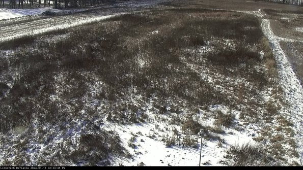 Cell 1_24-01-16_14-24-45-94