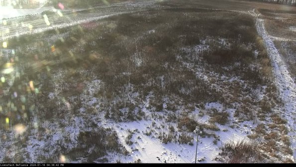 Cell 1_24-01-16_16-38-42-92