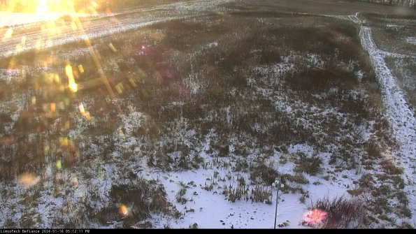 Cell 1_24-01-16_17-12-11-90