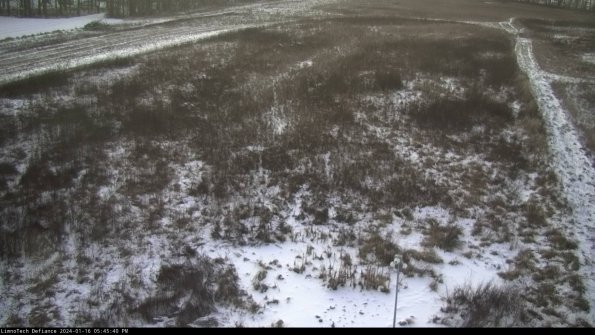 Cell 1_24-01-16_17-45-40-91