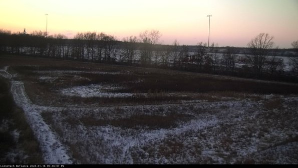 Cell 2_24-01-16_17-46-07-97