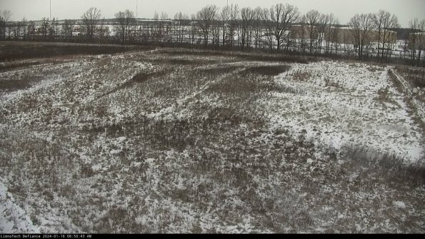 Cell 3_24-01-16_08-50-44-17