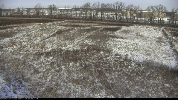 Cell 3_24-01-16_09-24-13-91