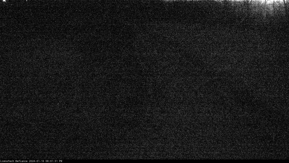 Cell 4 to Basin_24-01-16_20-01-31-95