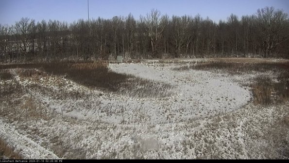 Cell 4_24-01-16_14-26-08-92