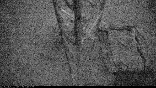 Hatch_24-01-16_18-22-11-90