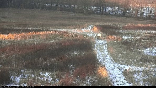 Cell 1 to 2_24-01-17_08-16-38-94