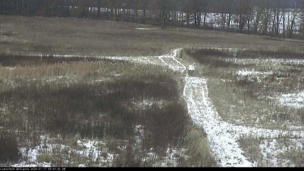 Cell 1 to 2_24-01-17_09-57-05-93