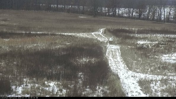 Cell 1 to 2_24-01-17_10-30-34-90