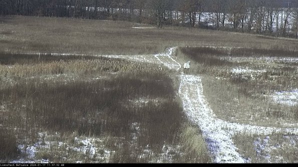 Cell 1 to 2_24-01-17_11-37-32-92