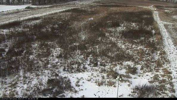 Cell 1_24-01-17_08-49-53-93