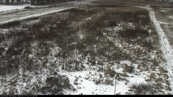 Cell 1_24-01-17_13-17-46-91