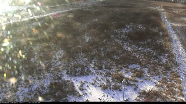 Cell 1_24-01-17_16-38-44-93