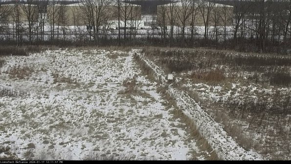 Cell 3 to 4_24-01-17_12-11-57-93