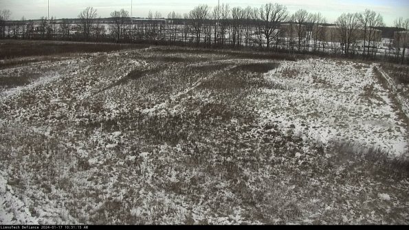 Cell 3_24-01-17_10-31-15-91