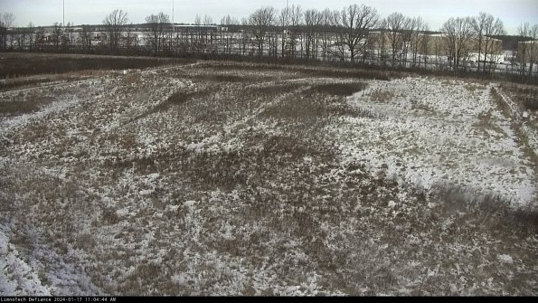 Cell 3_24-01-17_11-04-45-12