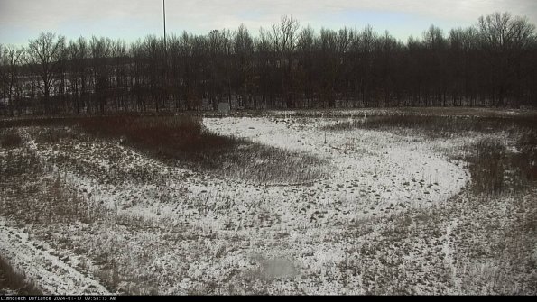 Cell 4_24-01-17_09-58-13-93