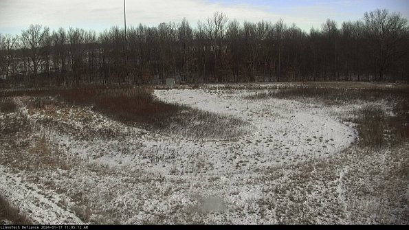 Cell 4_24-01-17_11-05-12-91