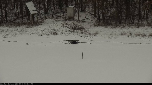 Basin Inflow_24-01-18_12-46-38-20