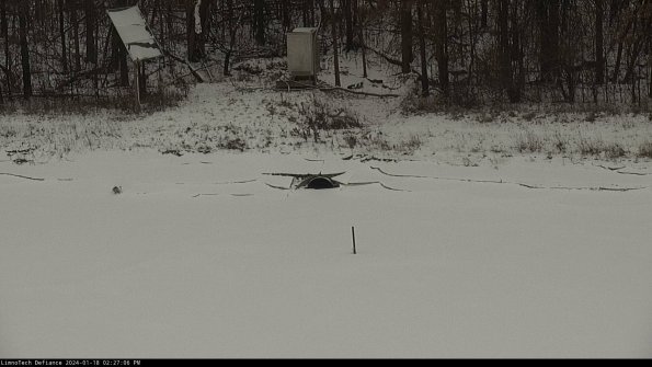 Basin Inflow_24-01-18_14-27-06-94