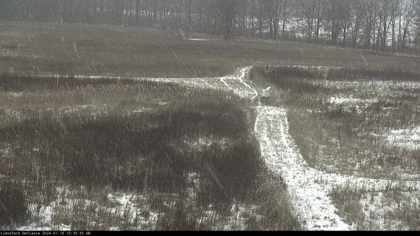 Cell 1 to 2_24-01-18_10-30-35-92