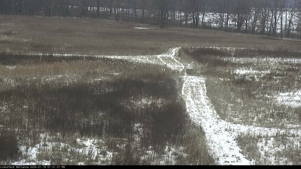 Cell 1 to 2_24-01-18_13-51-31-94