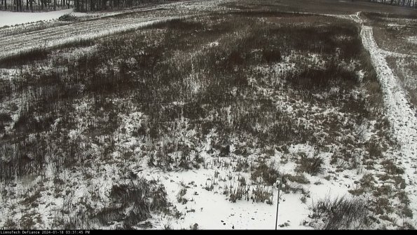 Cell 1_24-01-18_15-31-45-93