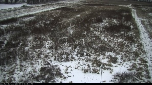 Cell 1_24-01-18_17-45-42-91