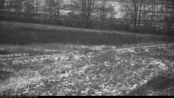 Cell 2 to 3_24-01-18_07-43-37-10