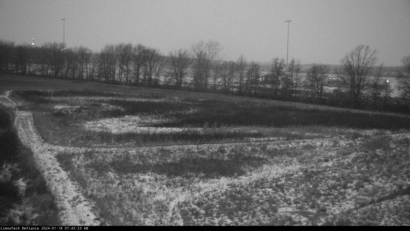 Cell 2_24-01-18_07-43-23-98