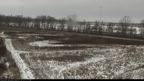 Cell 2_24-01-18_12-11-17-94