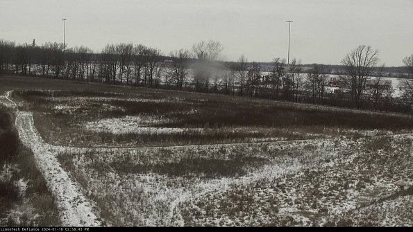 Cell 2_24-01-18_14-58-43-98