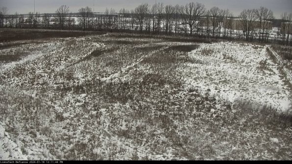 Cell 3_24-01-18_12-11-45-17