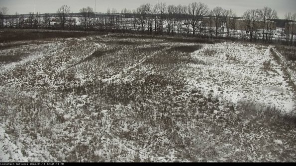 Cell 3_24-01-18_12-45-13-95