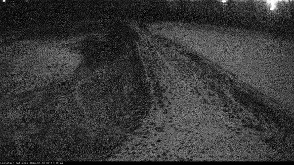 Cell 4 to Basin_24-01-18_07-11-19-92