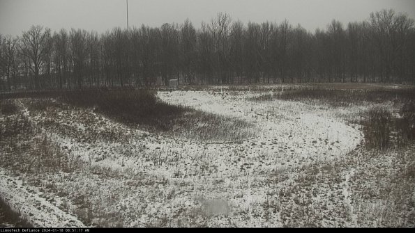 Cell 4_24-01-18_08-51-17-93